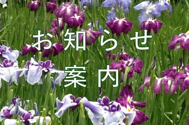 02です