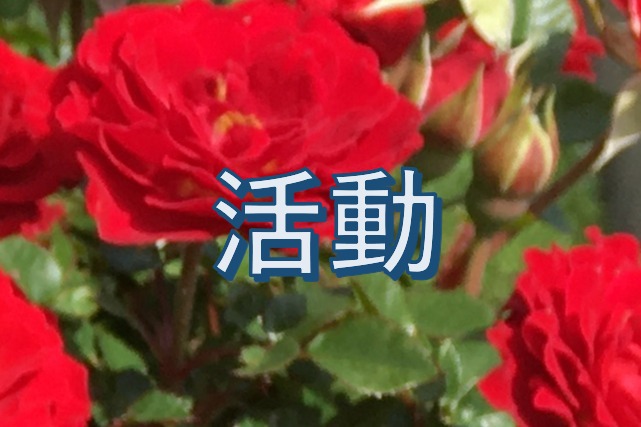 04です